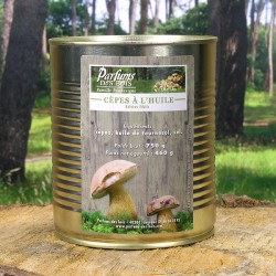 Cèpes à l'Huile en Conserve