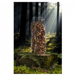 Girolles Séchées 1er Choix