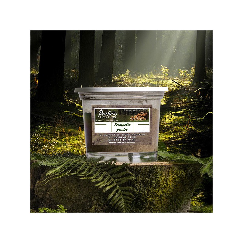 Trompettes de la Mort en poudre