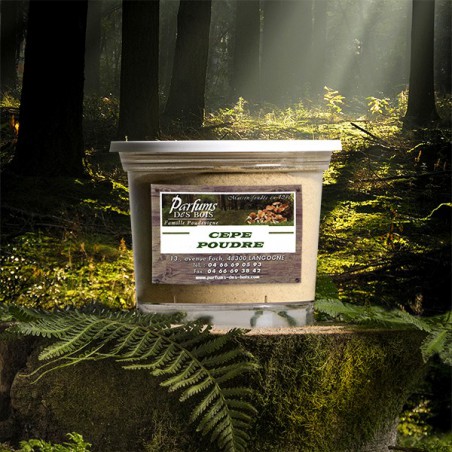 Cèpes en Poudre