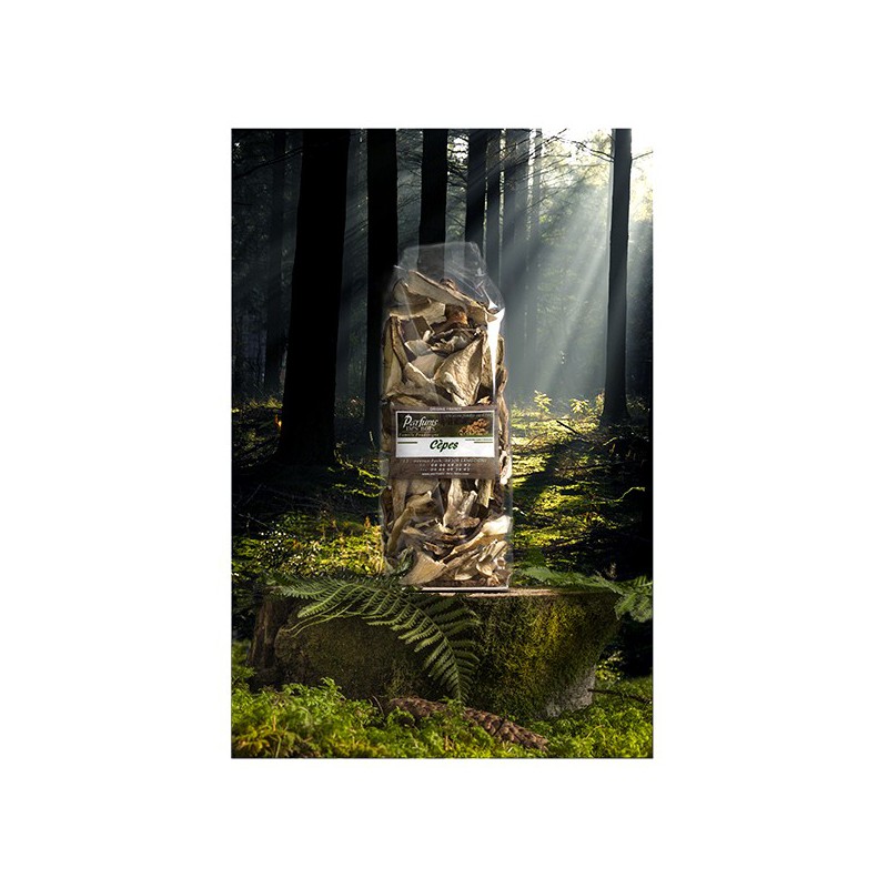 Cèpes Séchés 2e Choix