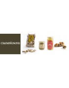Achat Vente de Champignons Frais Séchés Secs Déshydratés Conserve Bocal Cepes, Morilles, Girolles - Grossite Champignon Négoce